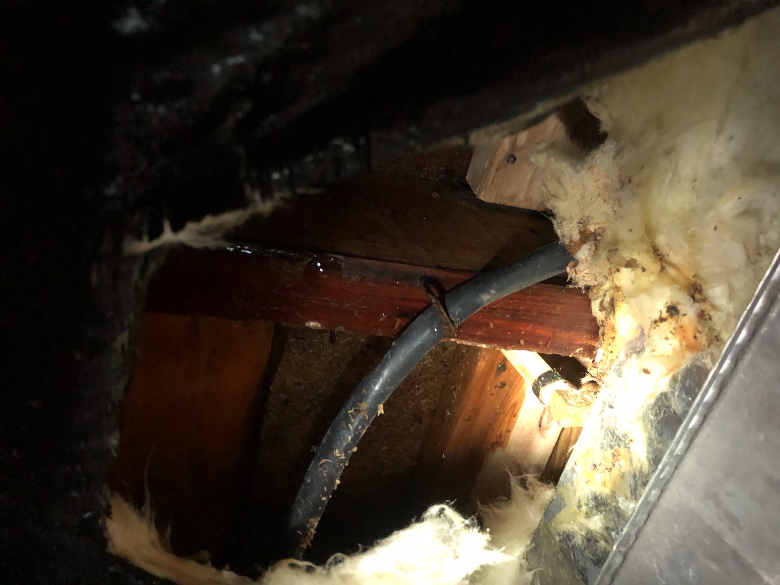 Absolute Plumbing & Mechanical -Taylor, TX