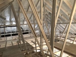 Absolute Plumbing & Mechanical - Sugar Land, TX